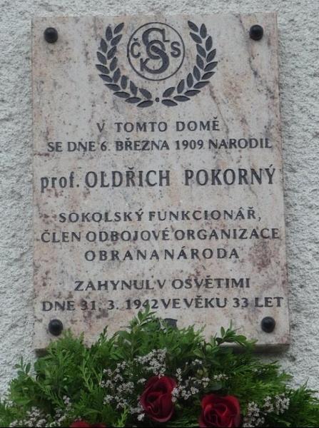 prof. Oldřich Pokorný